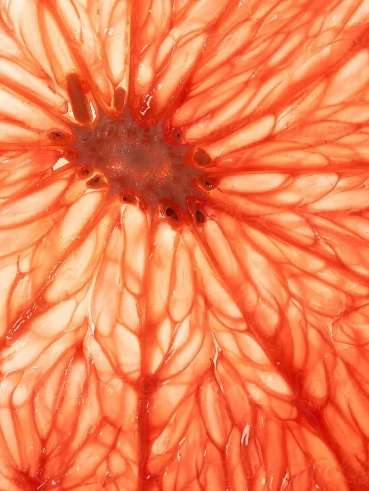 Close-up of a sliced grapefruit showing its pink flesh and seeds.