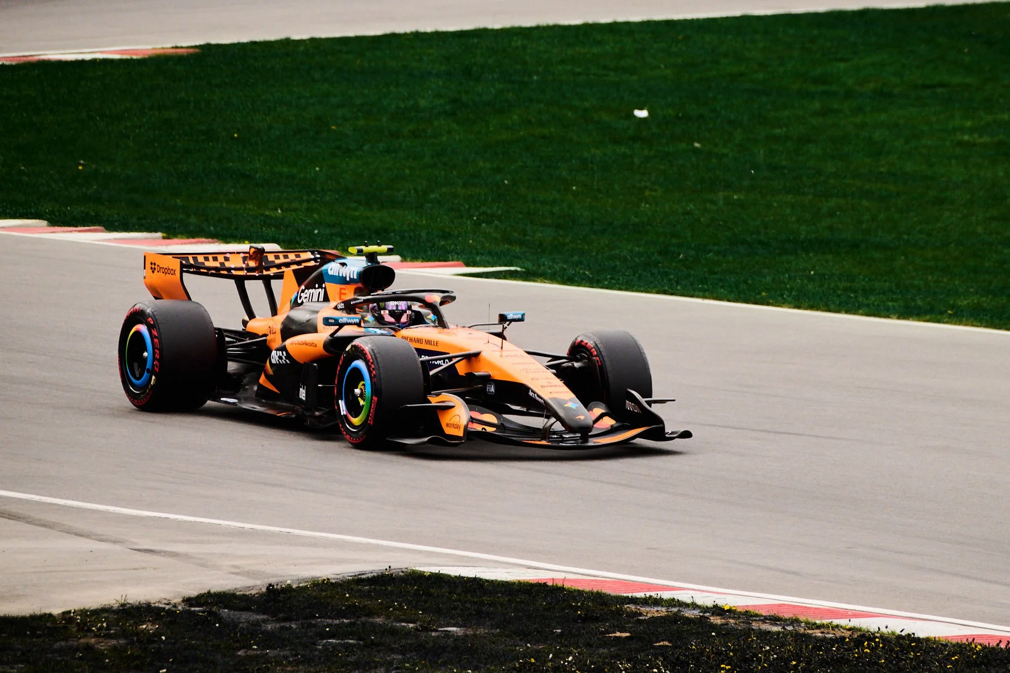 DSC_3331.jpg