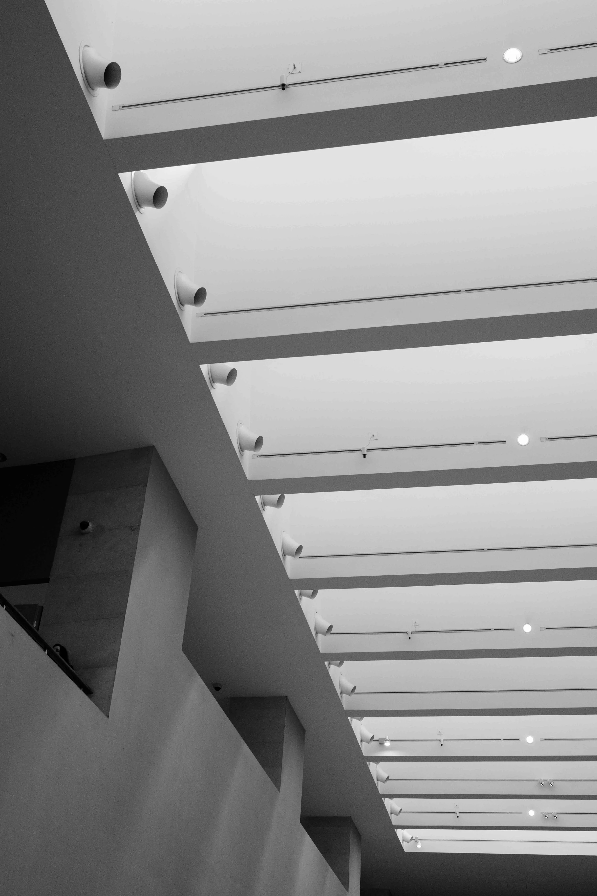 DSCF3779-3.jpg