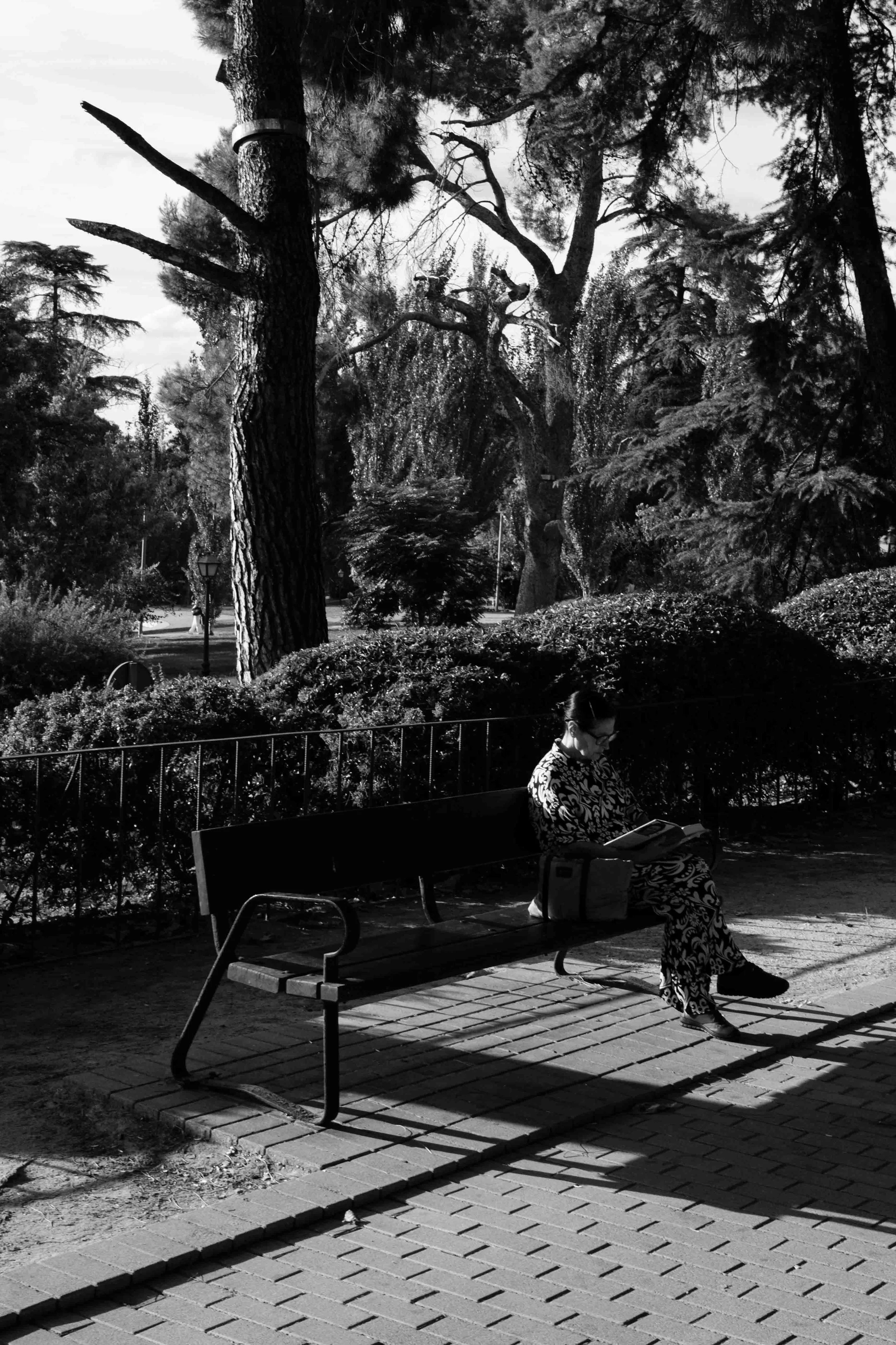 DSCF3445-2.jpg