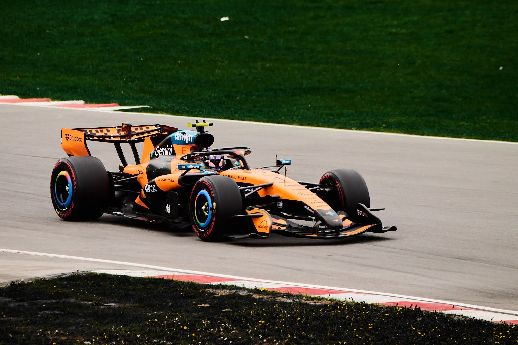 DSC_2688.jpg