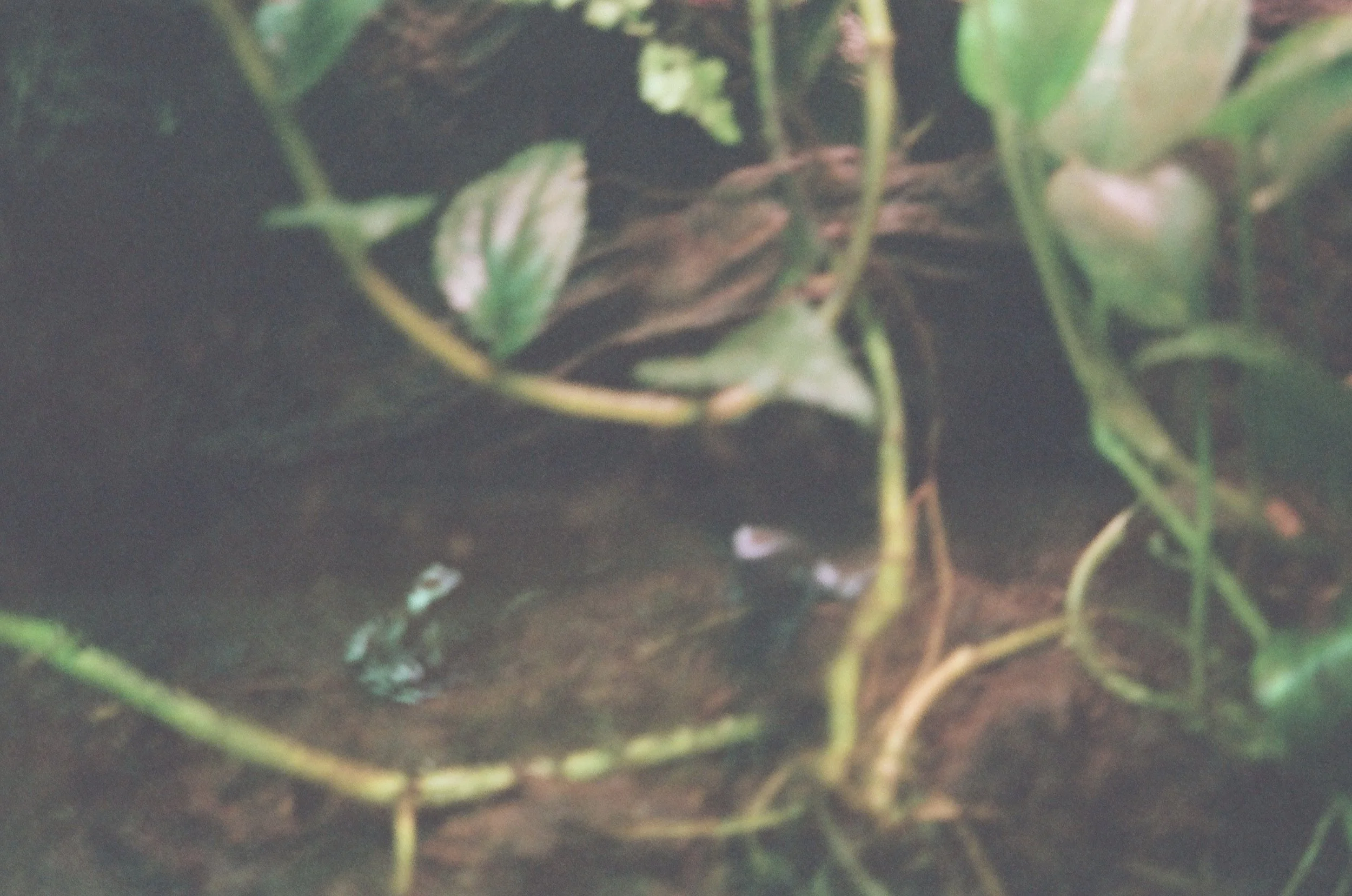 kambo/unearth. 
2022