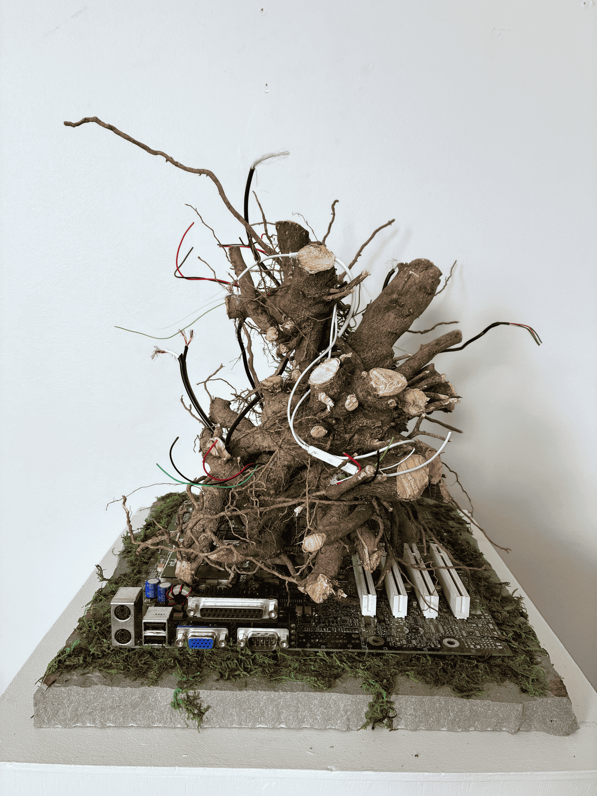 Untitled design (13) (1).png