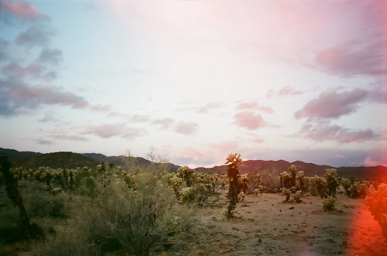 chromatic harmony. 
2025