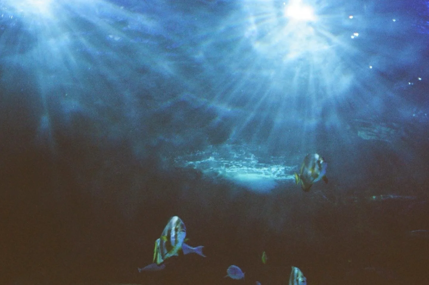 follow the light.
2022