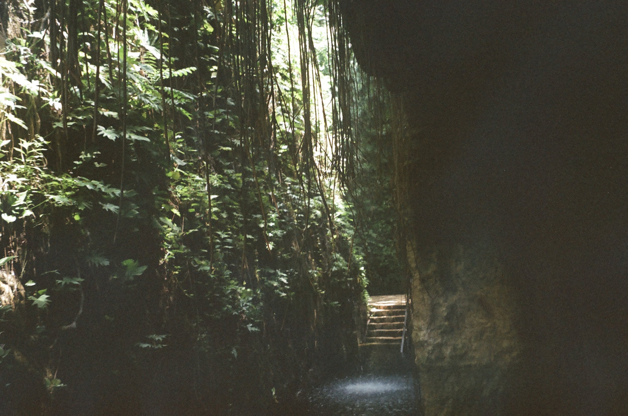 archival portals. 
2022