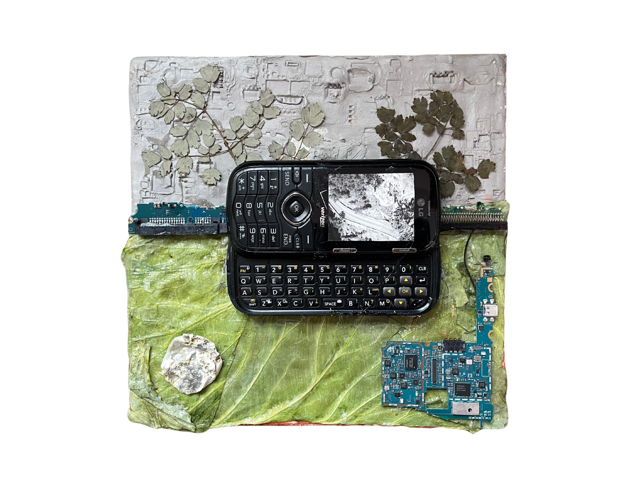 verdant circuitry, 2026