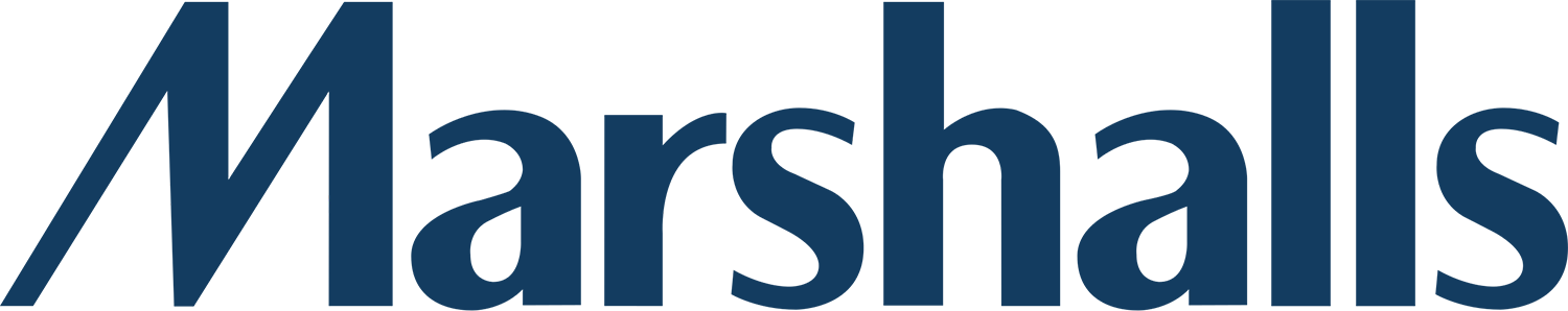 Marshalls logo