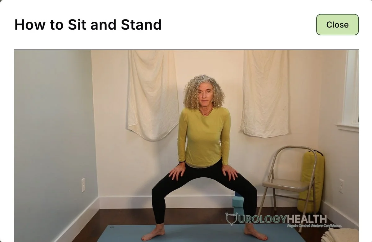 The instructor demonstrating proper sitting and standing mechanics