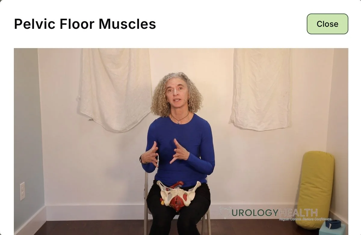 The instructor seated with a pelvic anatomy model