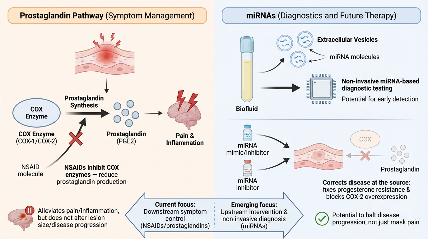 Diagram illustrating two approaches for managing and diagnosing pain and inflammation related to prostaglandin and COX enzyme activity. The left side shows prostaglandin pathway with NSAIDs inhibiting COX enzymes to reduce pain and inflammation, focu