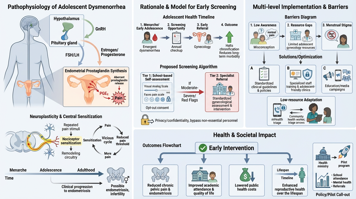 An infographic illustrating the pathophysiology, screening model, barriers, solutions, health and societal impacts of adolescent dysmenorrhea. It includes diagrams of the brain and reproductive system, a screening algorithm, barriers diagram, and out