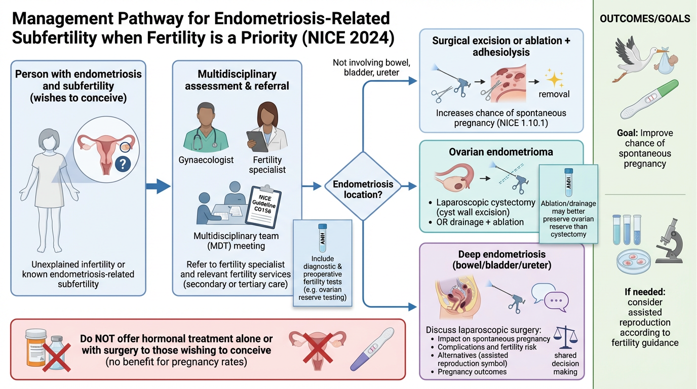 Flowchart titled "Management Pathway for Endometriosis-Related Subfertility when Fertility is a Priority (NICE 2024)". It shows steps for women wishing to conceive with endometriosis, including multidisciplinary assessment, referral to speciality ser