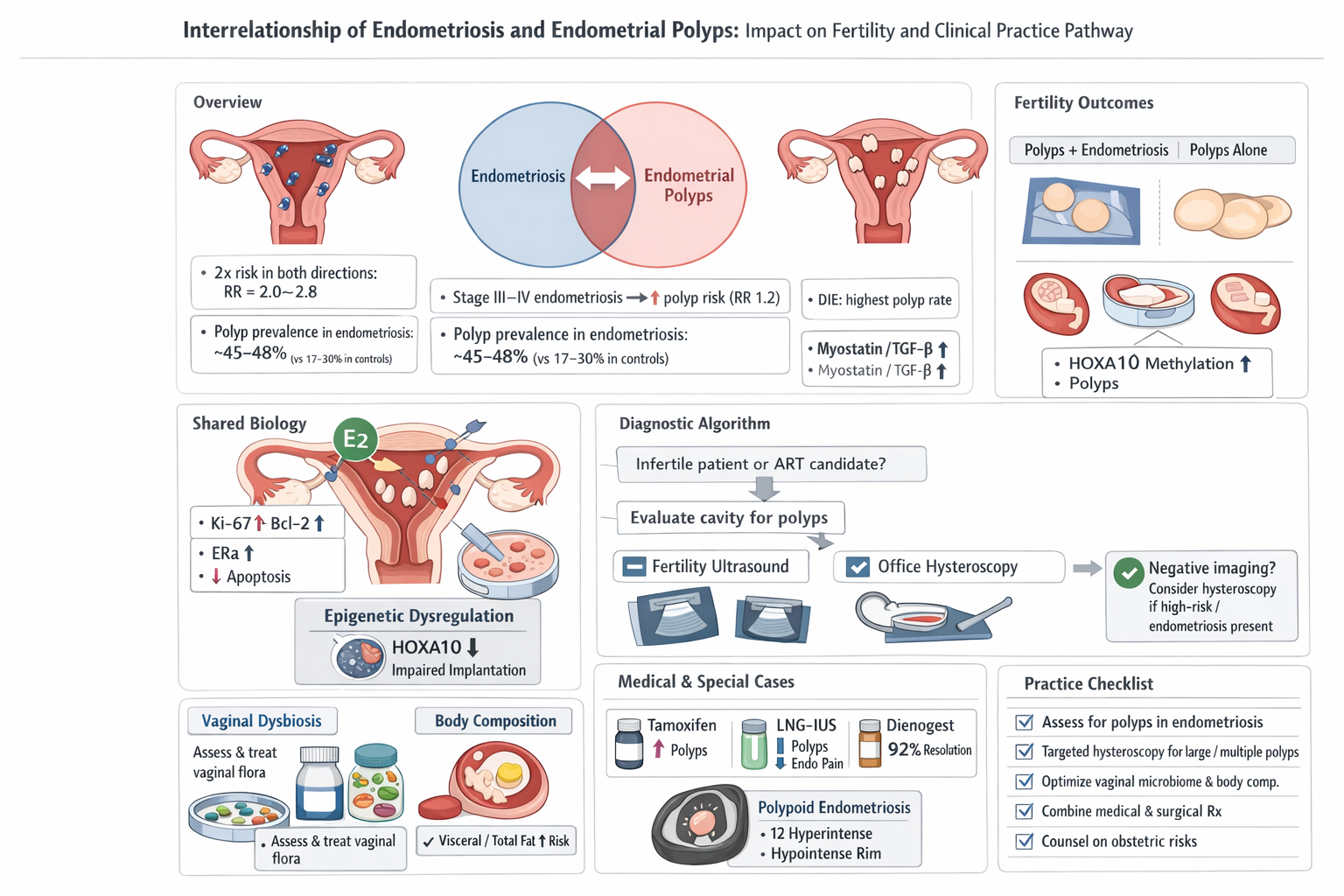 Diagram showing the relationship between endometriosis and endometrial polyps, including their prevalence, risk factors, shared biology, diagnostic methods, and clinical management. Features illustrations of female reproductive organs with highlighte