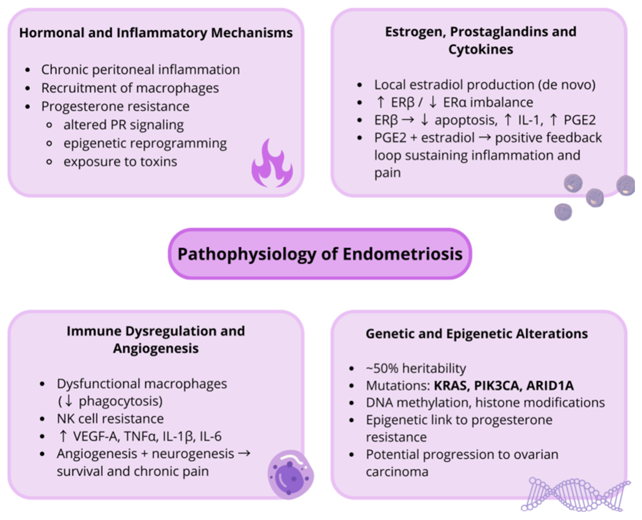 Diagram titled 'Pathophysiology of Endometriosis' with four sections: 'Hormonal and Inflammatory Mechanisms' describing chronic peritoneal inflammation, macrophage recruitment, progesterone resistance, altered PR signaling, epigenetic reprogramming, 