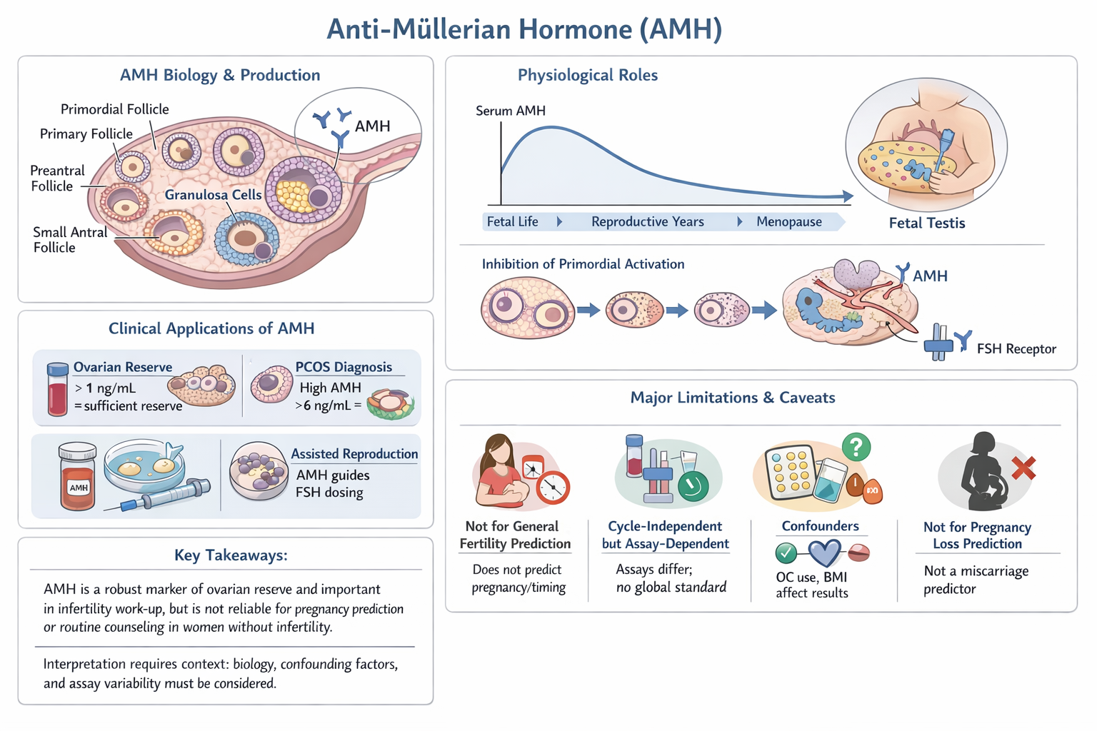 ANTI-MULLERIAN HORMONE