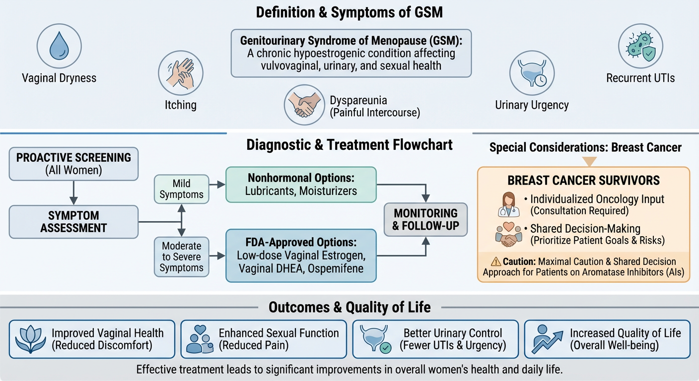 A medical infographic explaining the definition and symptoms of Genitourinary Syndrome of Menopause (GSM), including symptoms like vaginal dryness, itching, dyspareunia, urinary urgency, and recurrent UTIs. It also shows a diagnostic and treatment fl