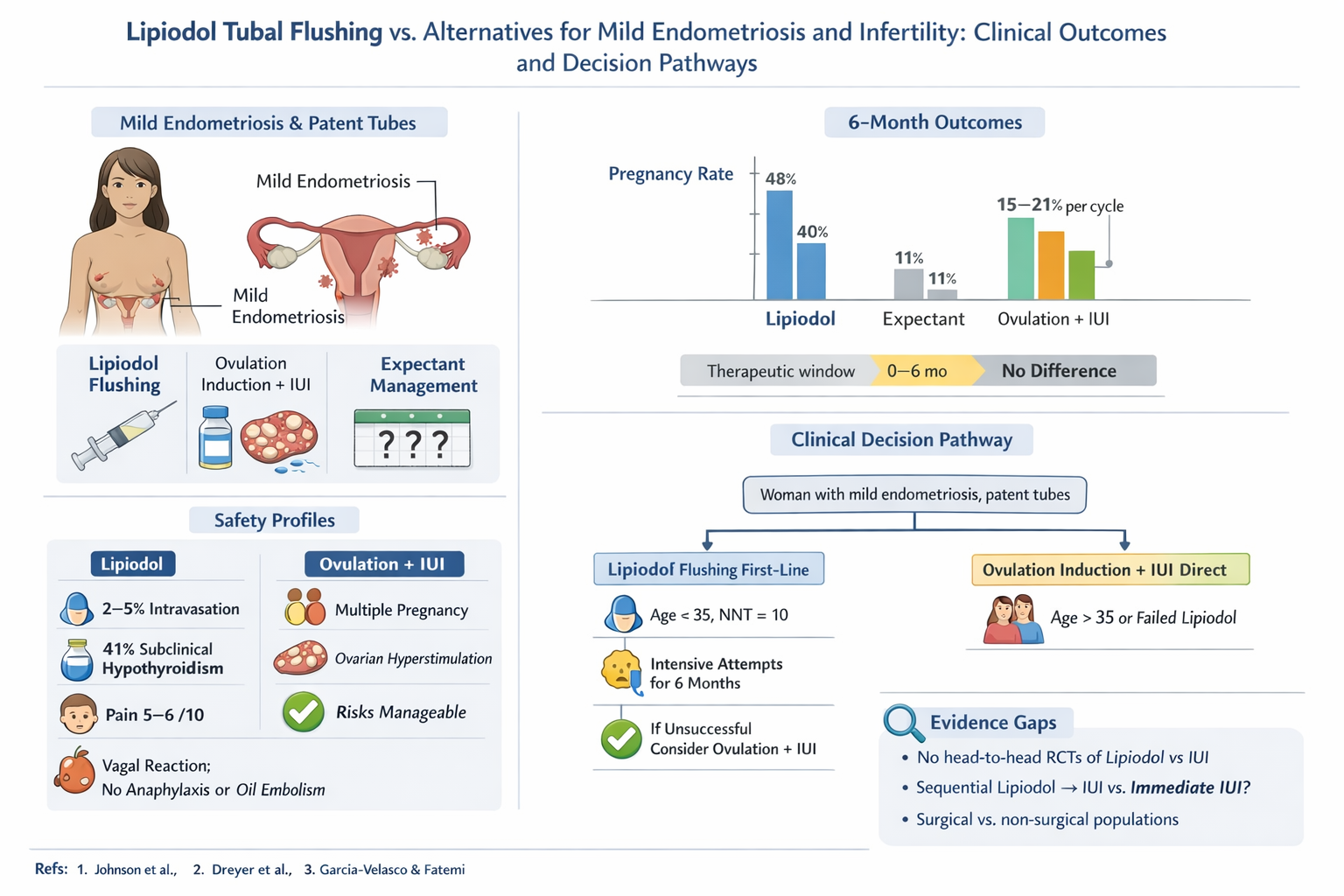 Clinical infographic comparing Lipidol Tubal Flushing with alternatives for mild endometriosis and infertility. Contains diagrams of a woman with mild endometriosis, charts of pregnancy rates and outcomes, safety profiles, and decision pathways including first-line Lipidol flushing or ovulation induction and IUI.