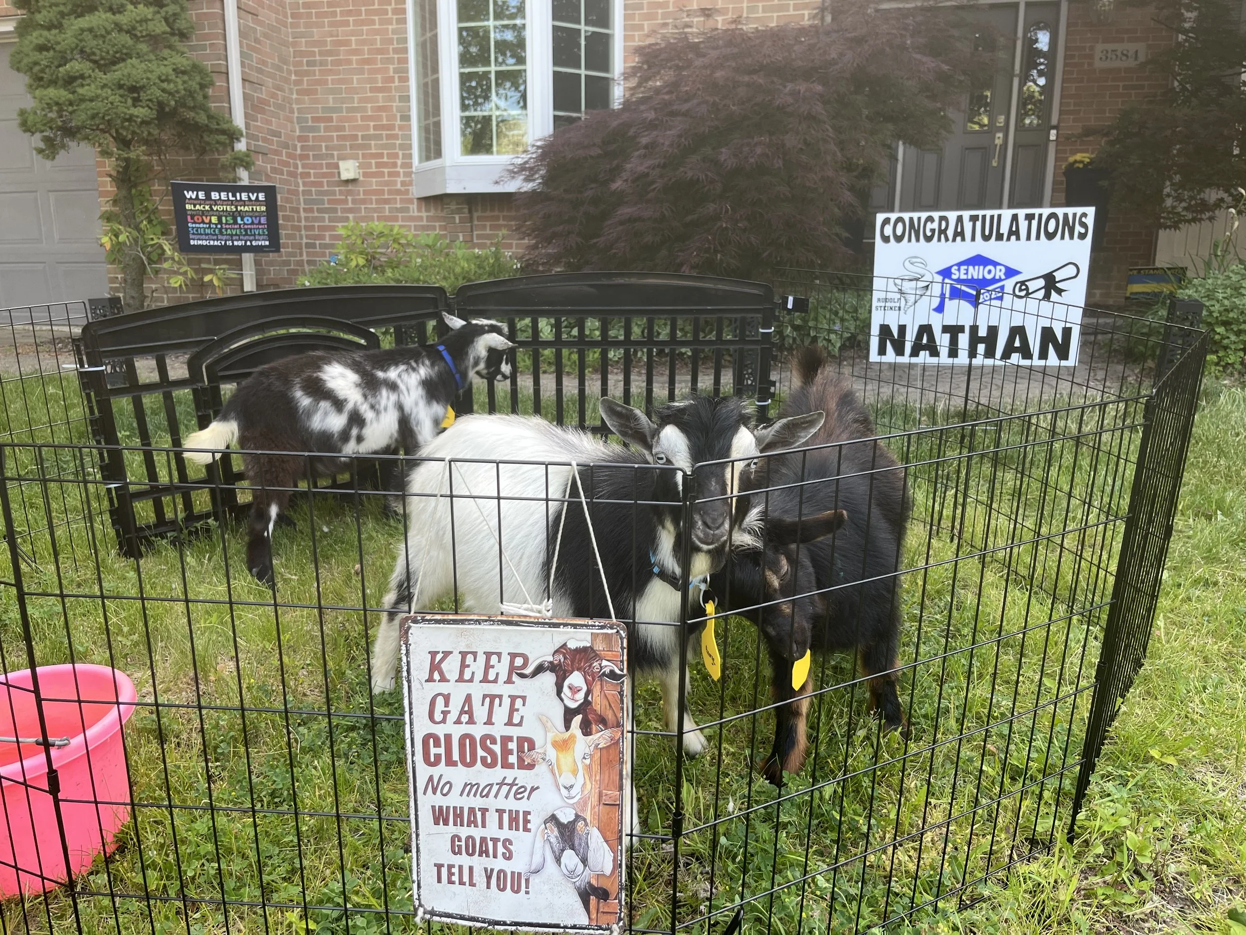 GOAT Parties
