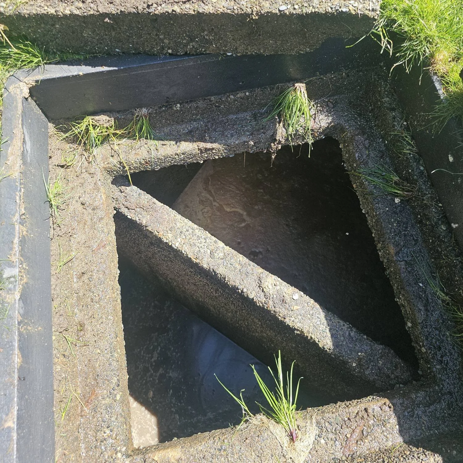 Close-up view of a rectangular septic hole with concrete edges and some grass growing inside and around it.