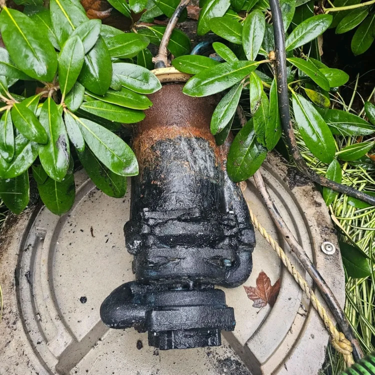 Eco Tran pump 