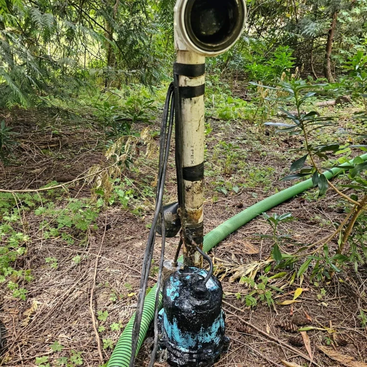 A corroded pipe standing in a forest with green plants, connected to hoses and a water pump, with soil and branches on the ground.