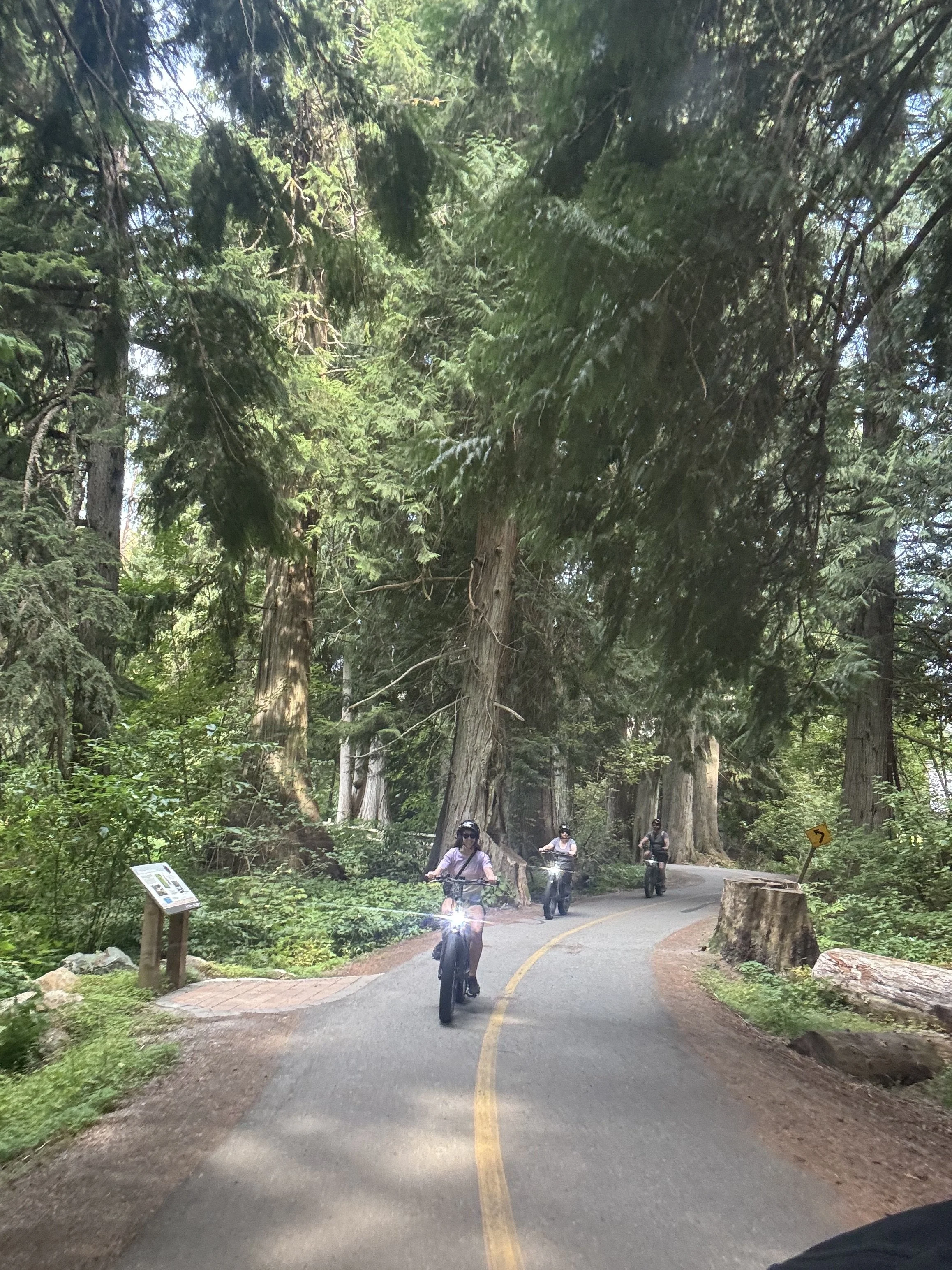 Immerse yourself in nature
