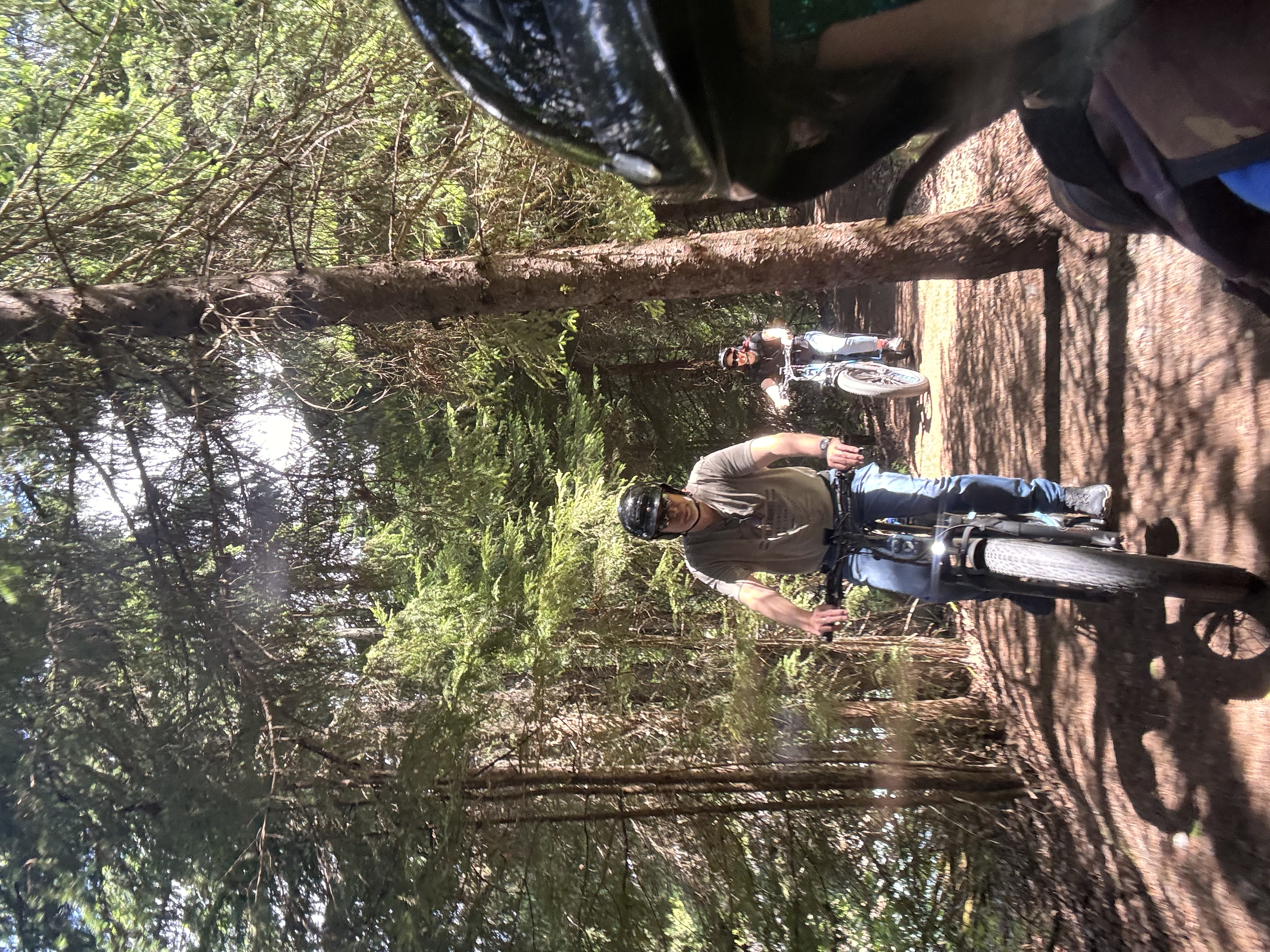 Immerse yourself in nature