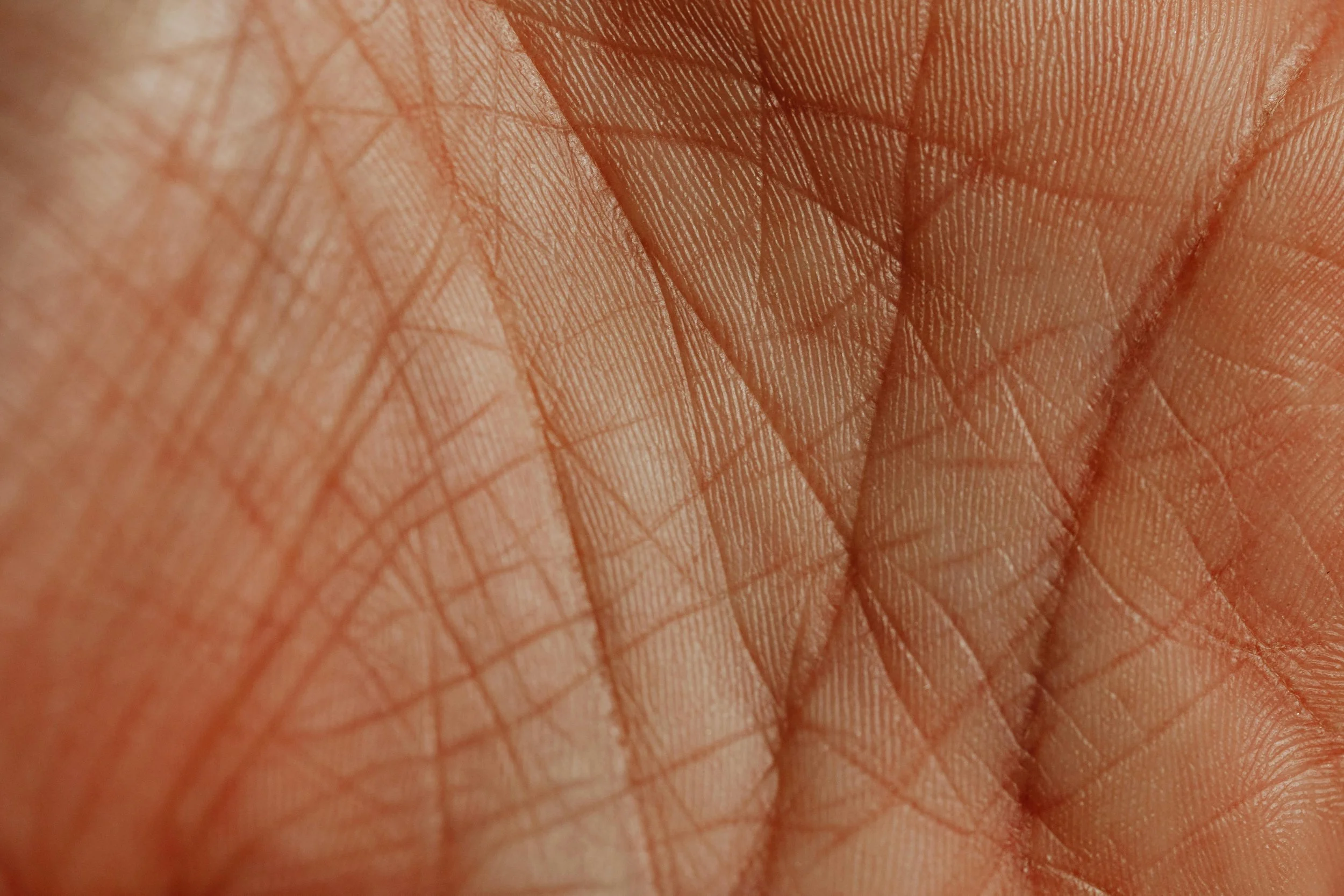 The Handshake: The Baker's Skin Microbiome