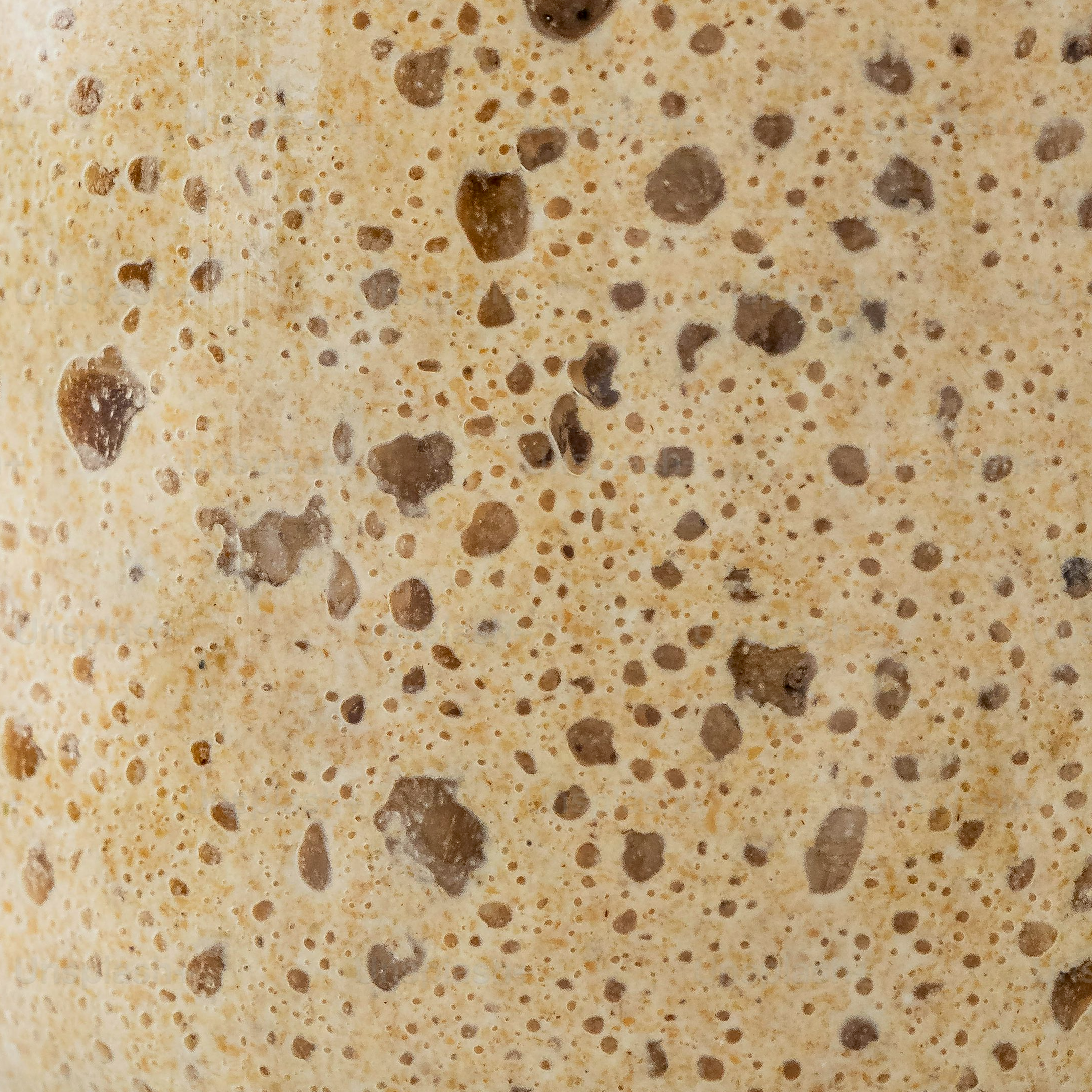 The Starter Invaders: Mold, Kahm, and Pink Streaks