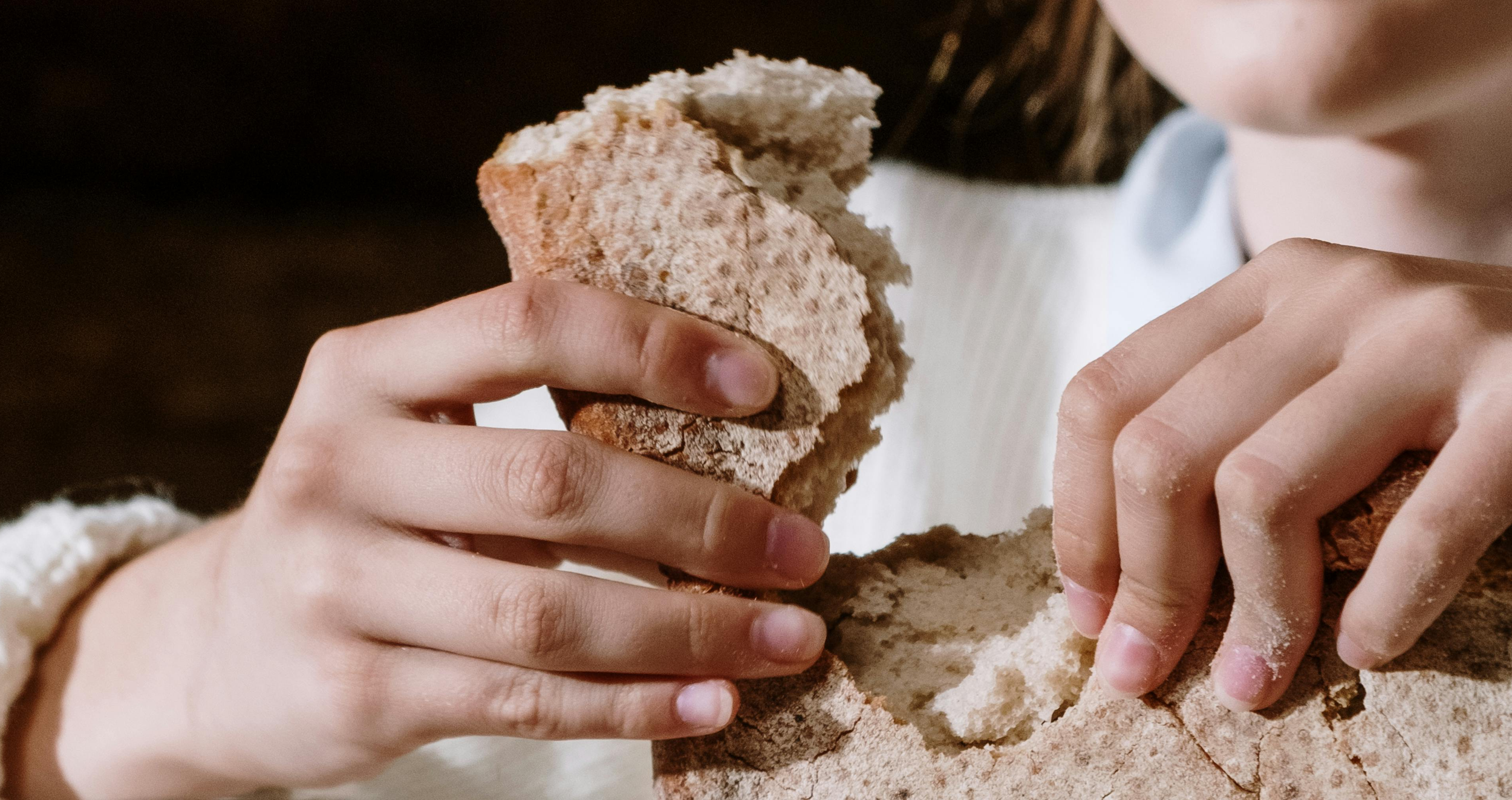 The Calorie Paradox in Sourdough: Why Not All Calories Are Created Equal