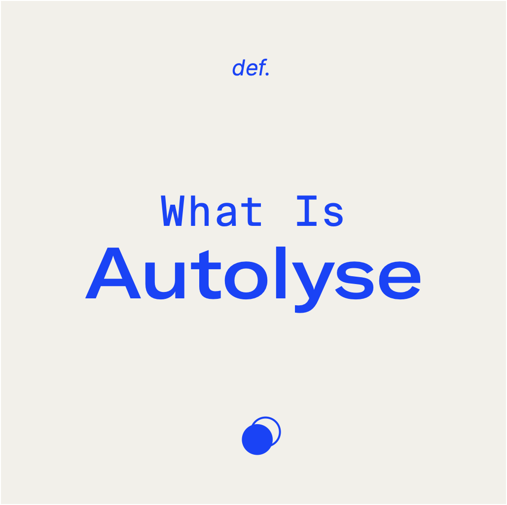 What is Autolyse?