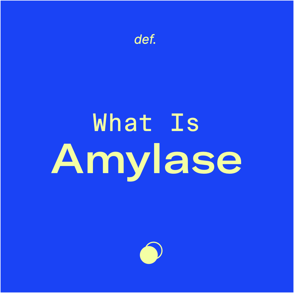 What Is Amylase?