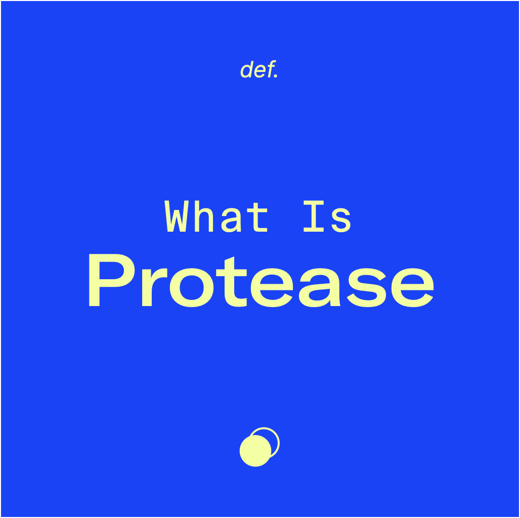 What Is Protease?