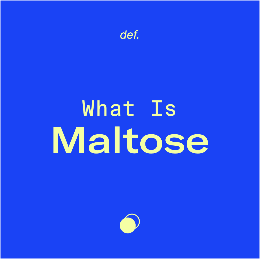 What Is Maltose?