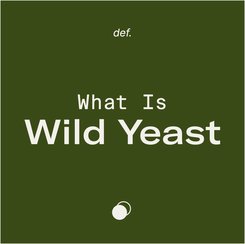What Is Wild Yeast?