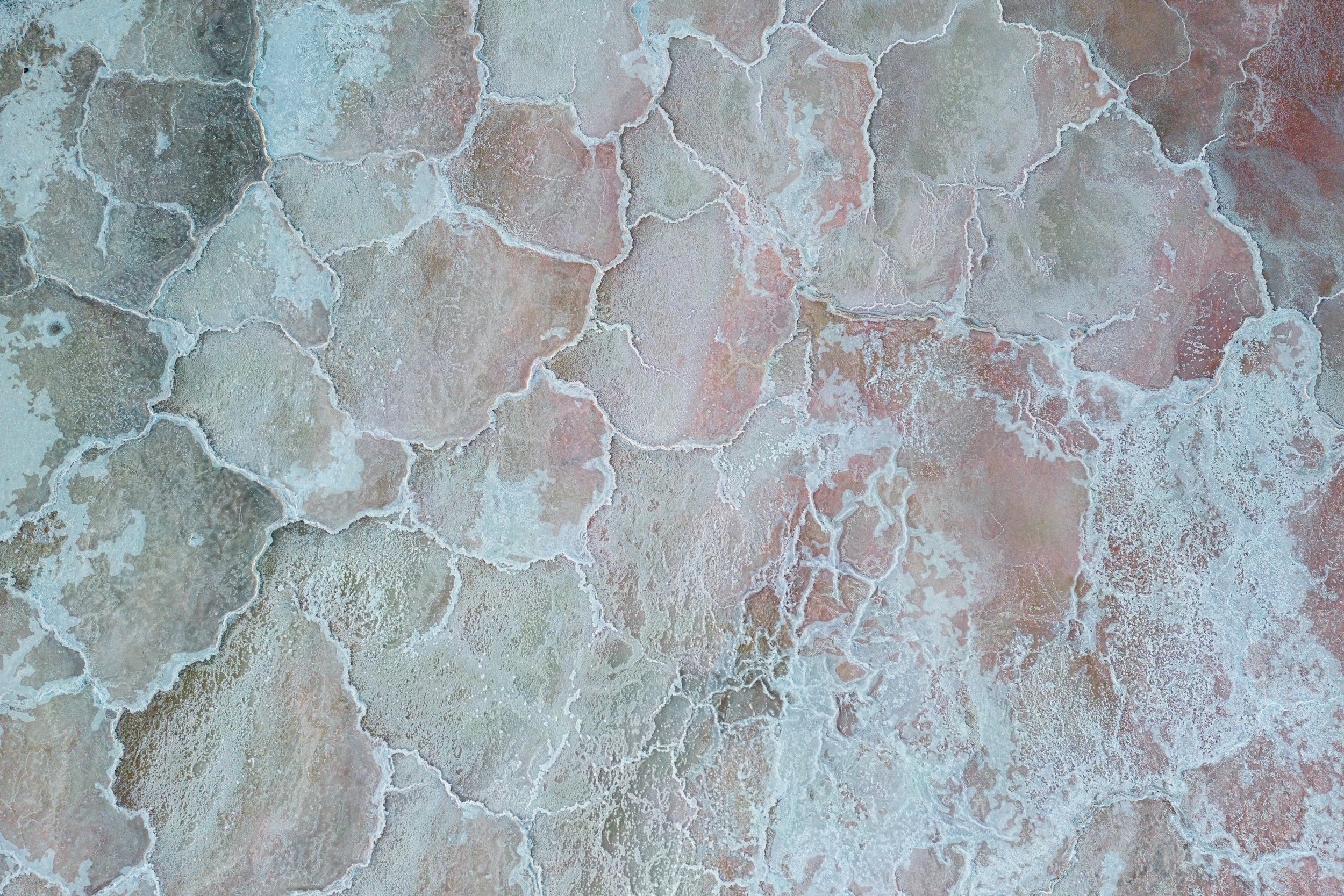 Salt: The Osmotic Brake