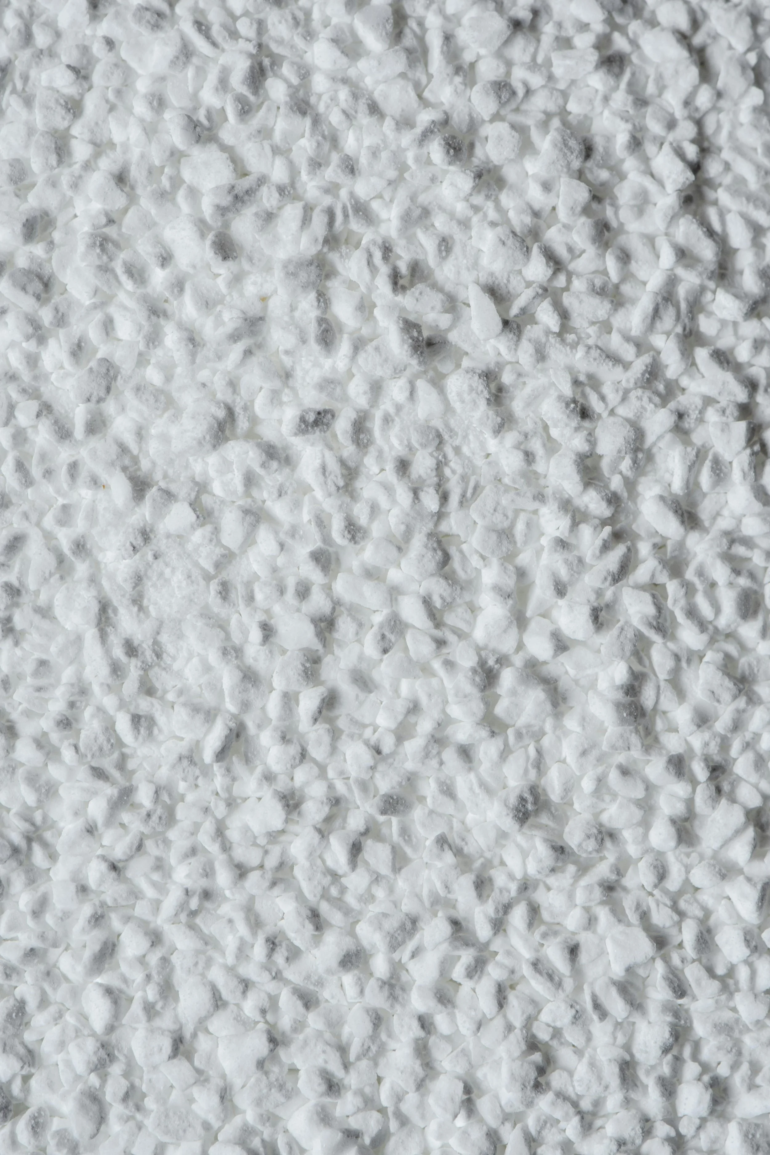Sugar: The Metabolic Accelerant