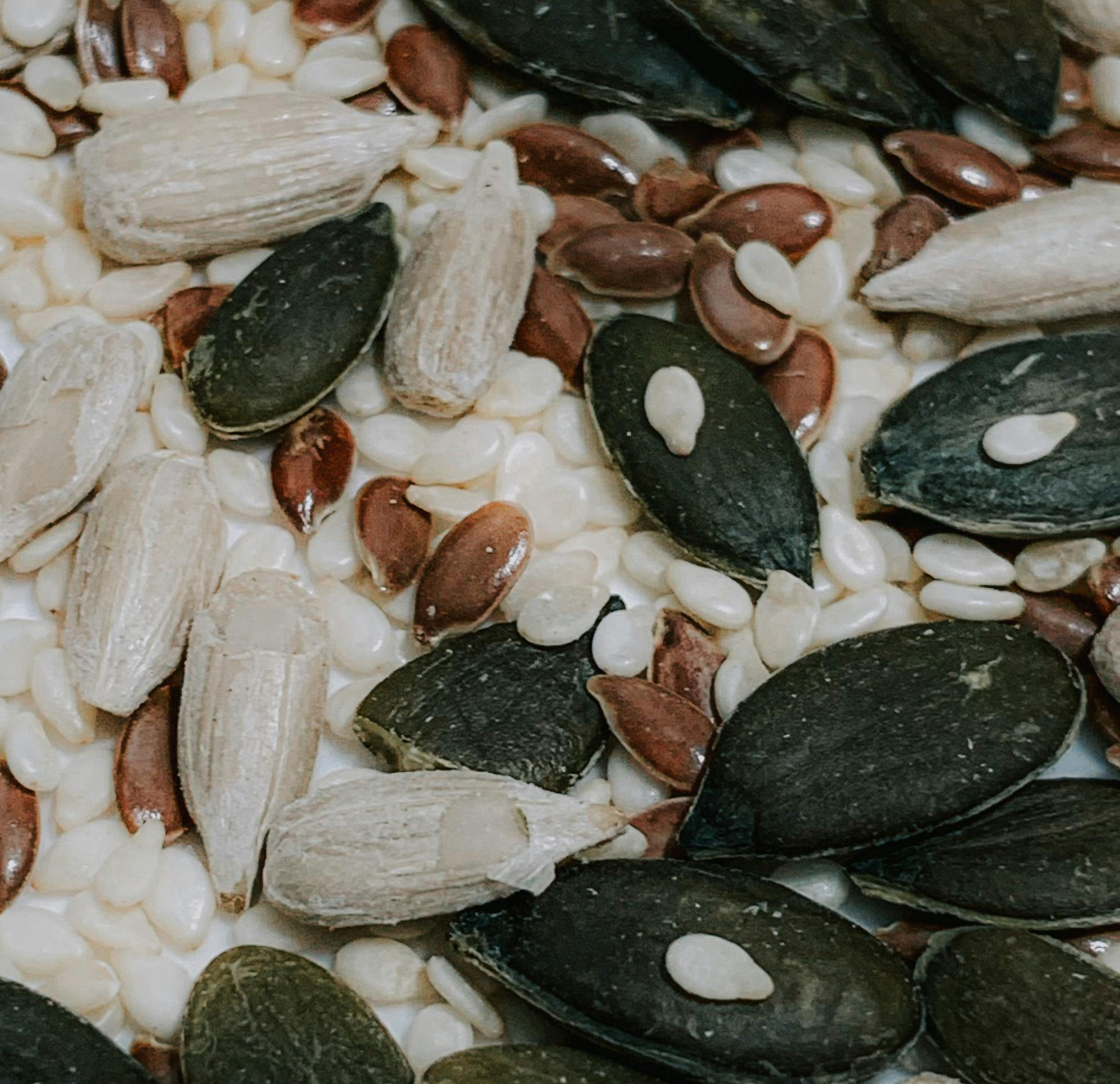 Seeds: The Hydration Thieves