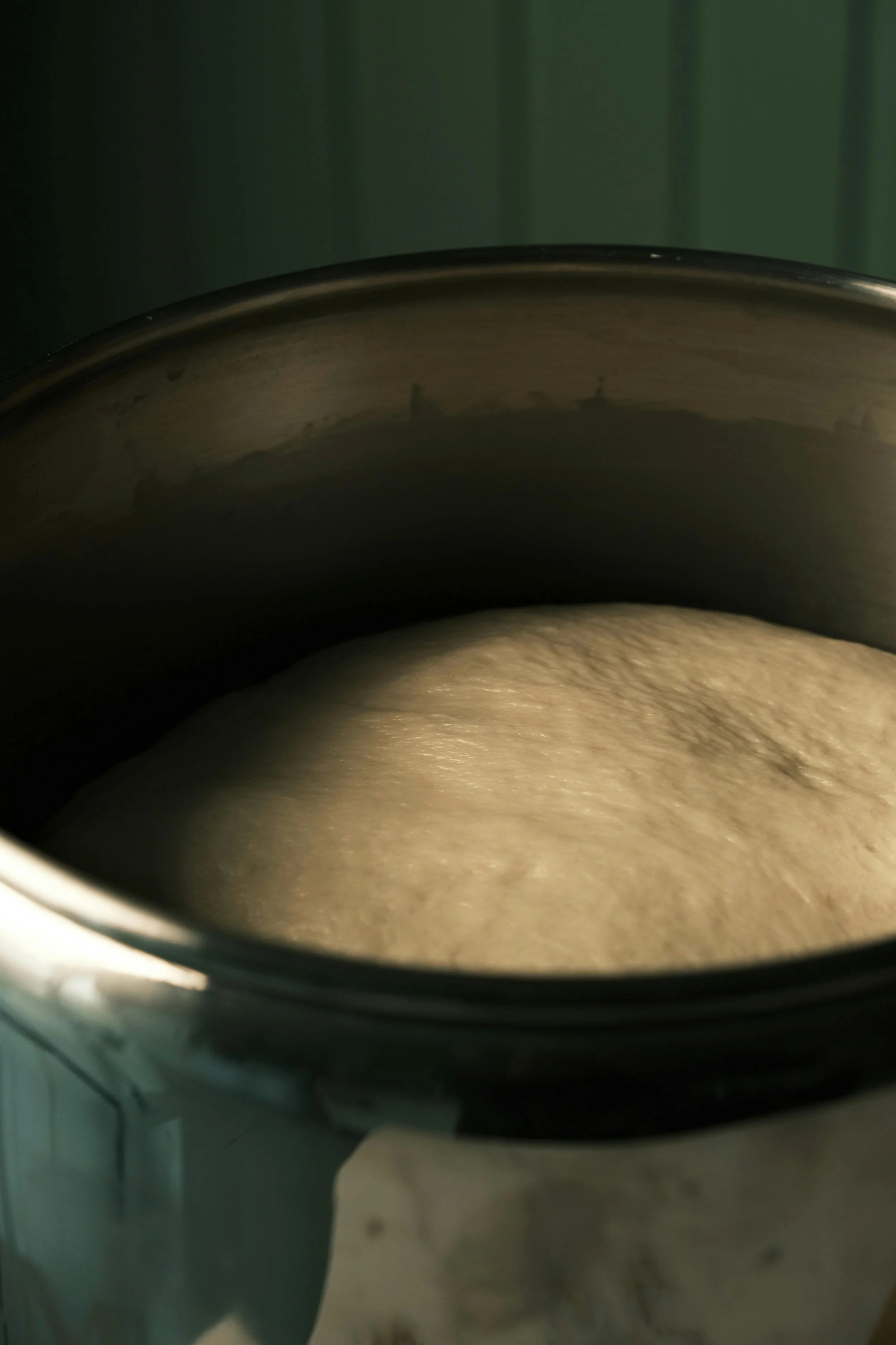 The Lectin Defense: Fermentation as a Chemical Shield