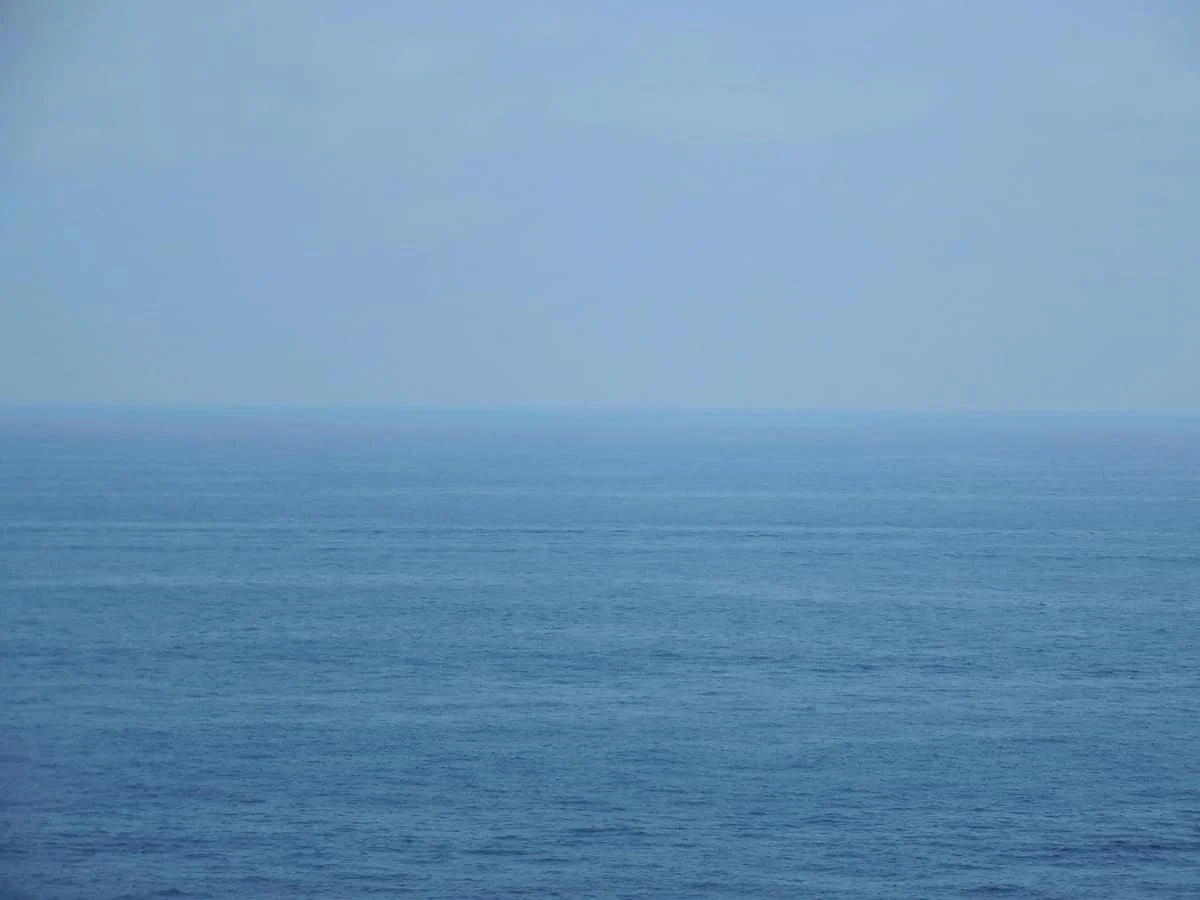 The Second Brain: How Intestinal Microbes Influence Mood