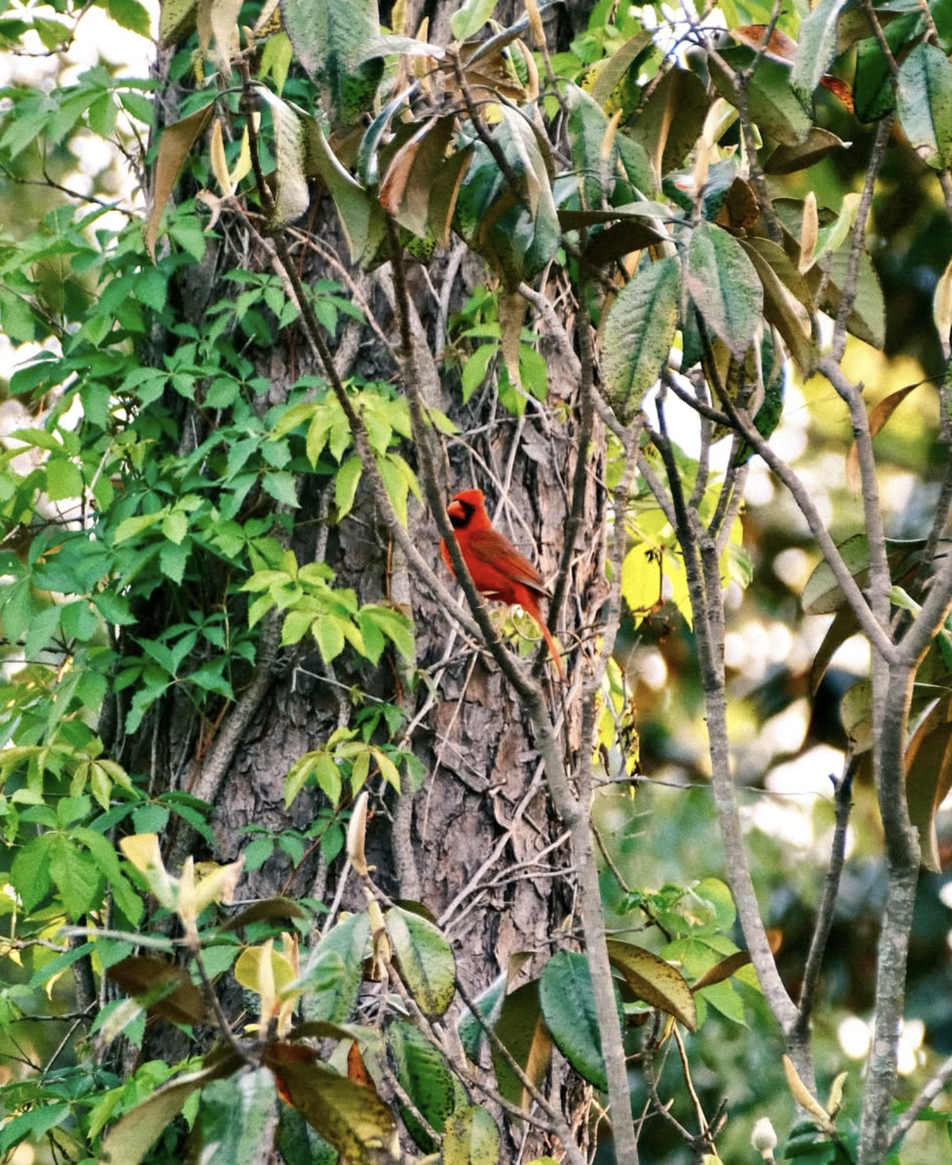 Screenshot 2025-12-05 at 8.03.40 PM.png