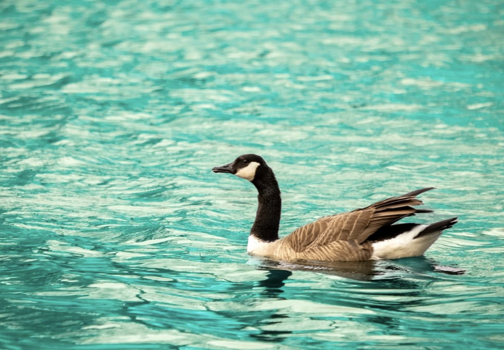 Screenshot 2025-12-05 at 8.05.52 PM.png