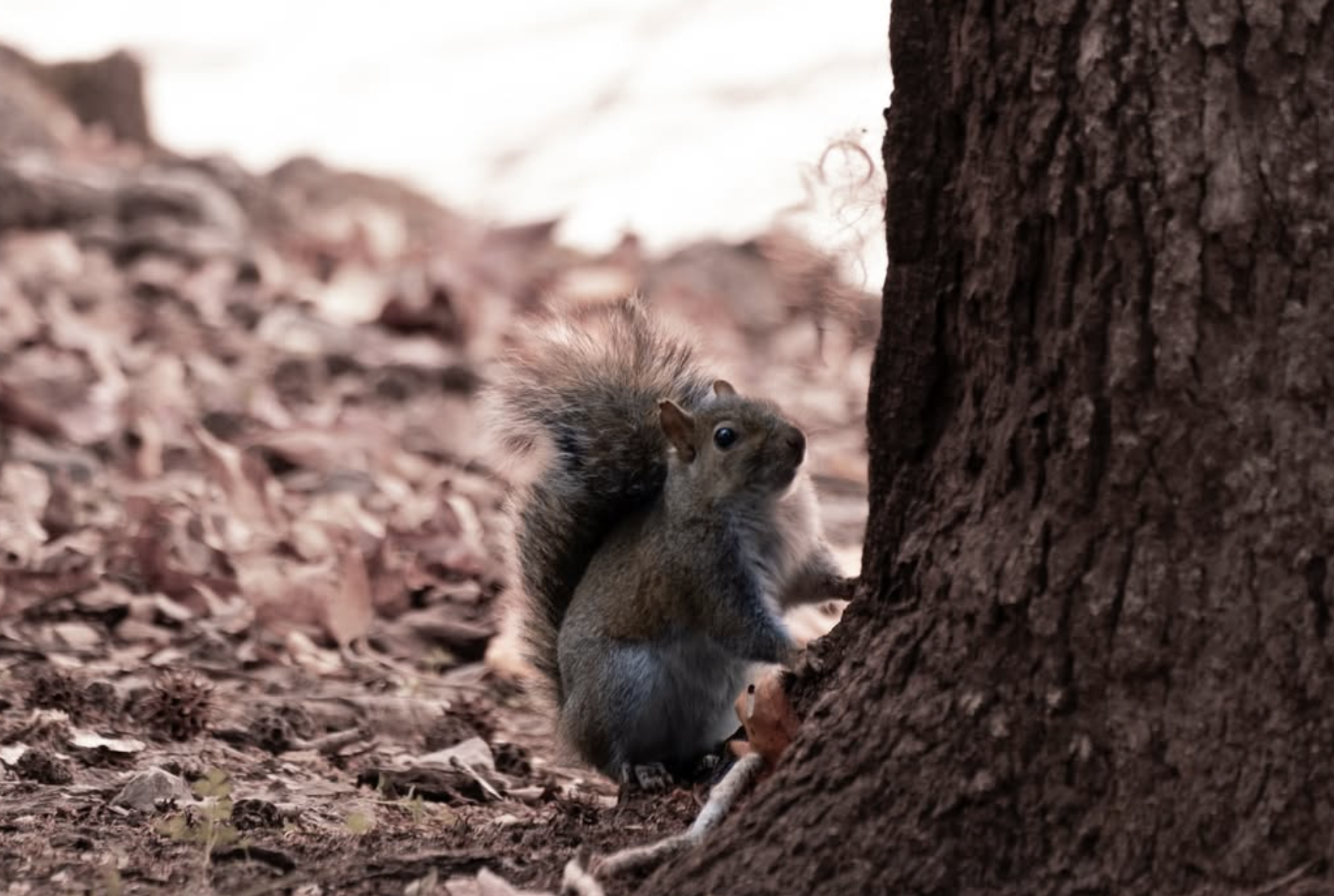 Screenshot 2025-12-05 at 8.07.00 PM.png