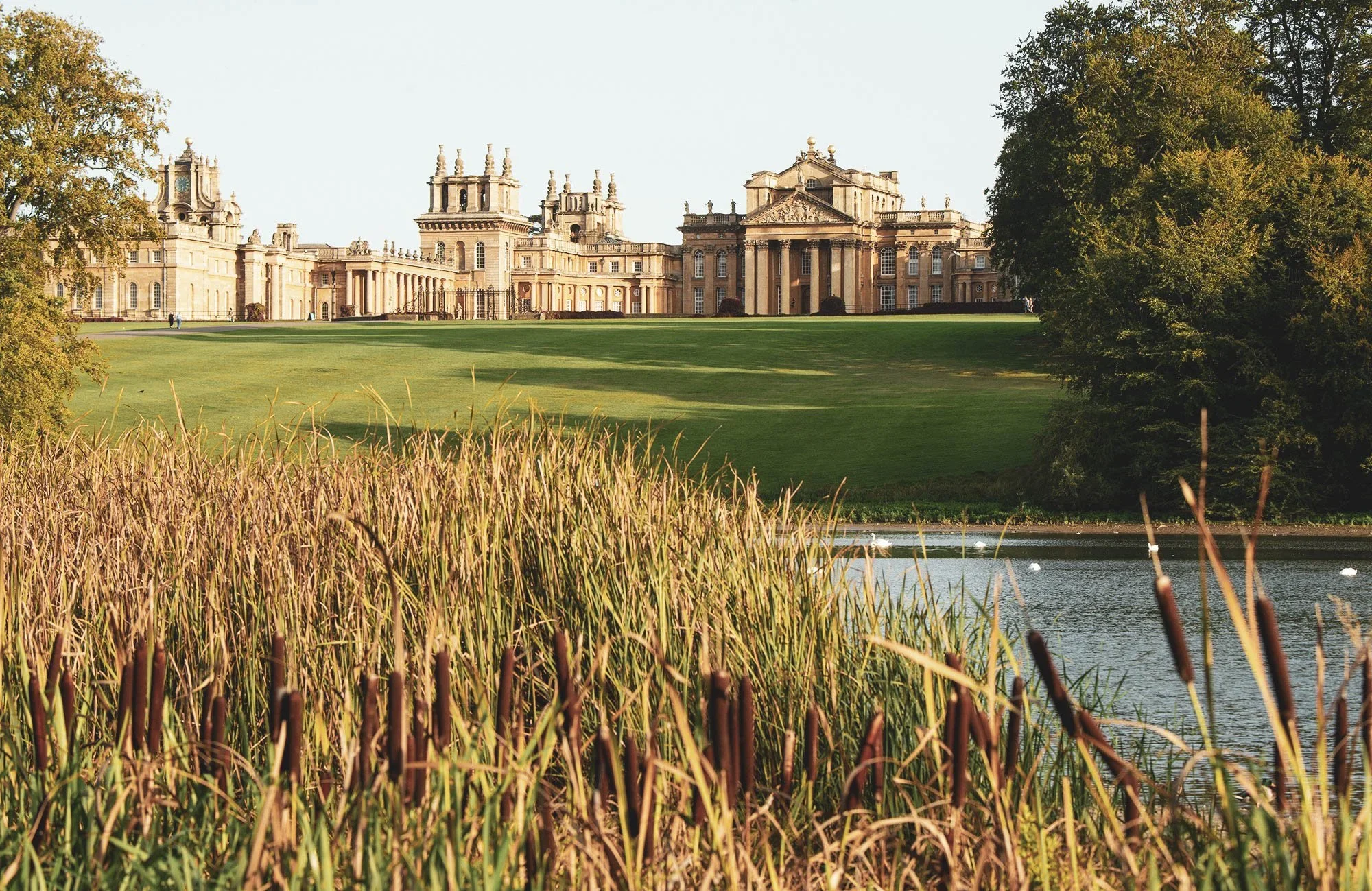 Blenheim Palace, an OSS client