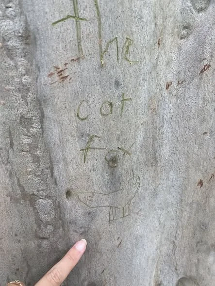 tree writing.jpg