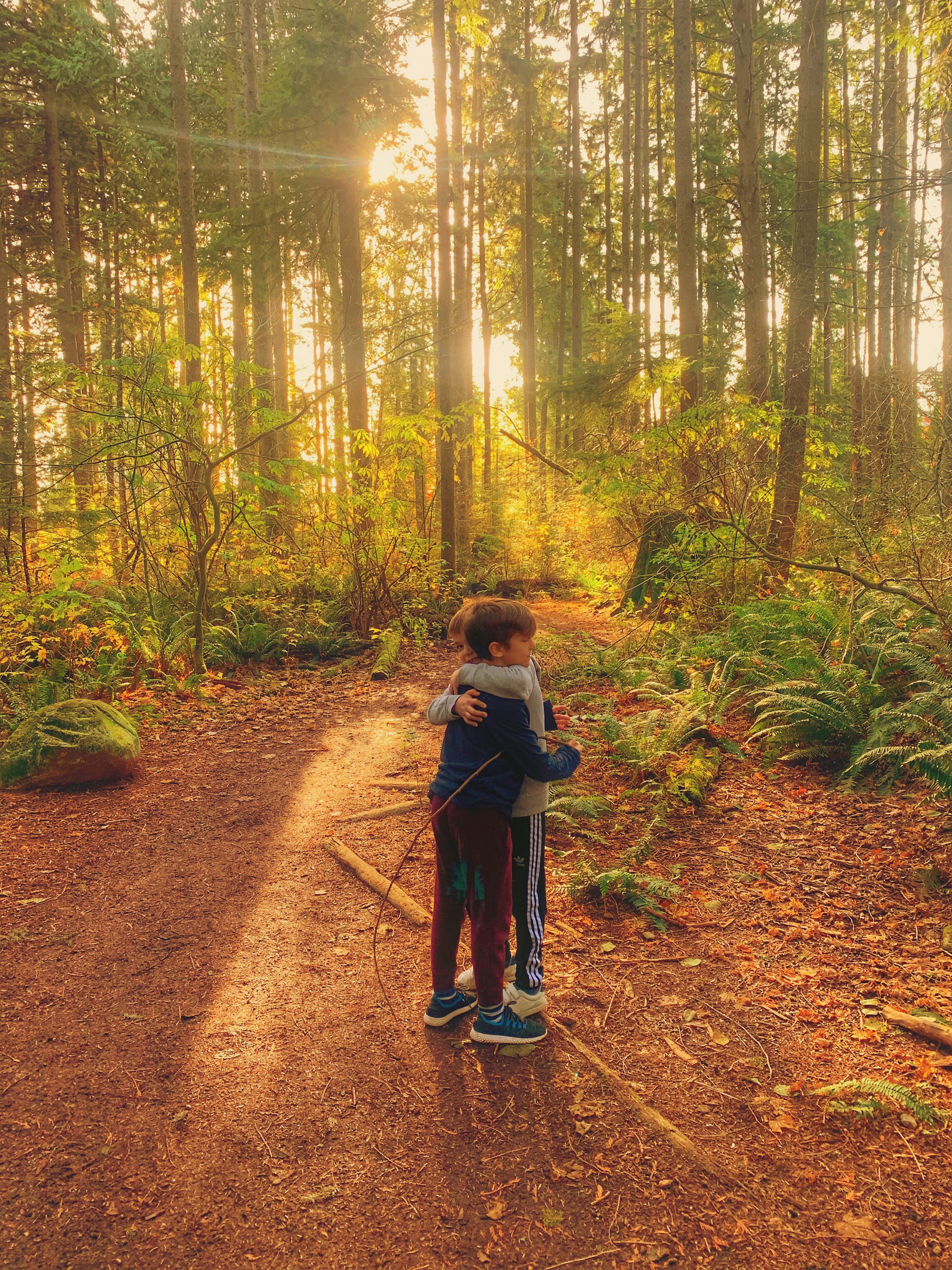 Two children hugging on a forest trail during sunset, surrounded by tall trees and ferns.