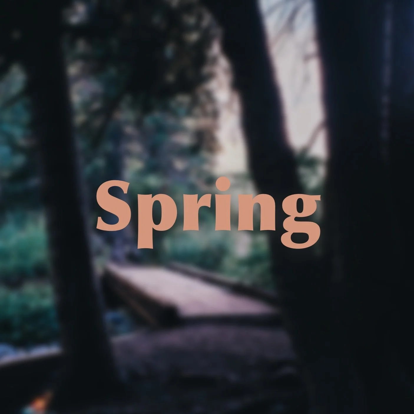Blurry image of a pathway through trees with the word 'Spring' overlaid in pink text.