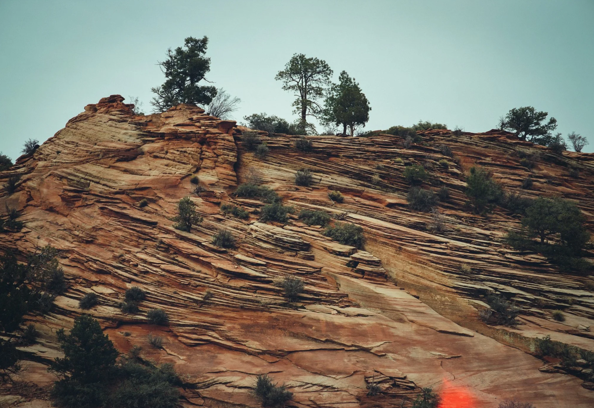 Scenic view of a rocky hillside with layered red sandstone formations and sparse trees against an overcast sky.