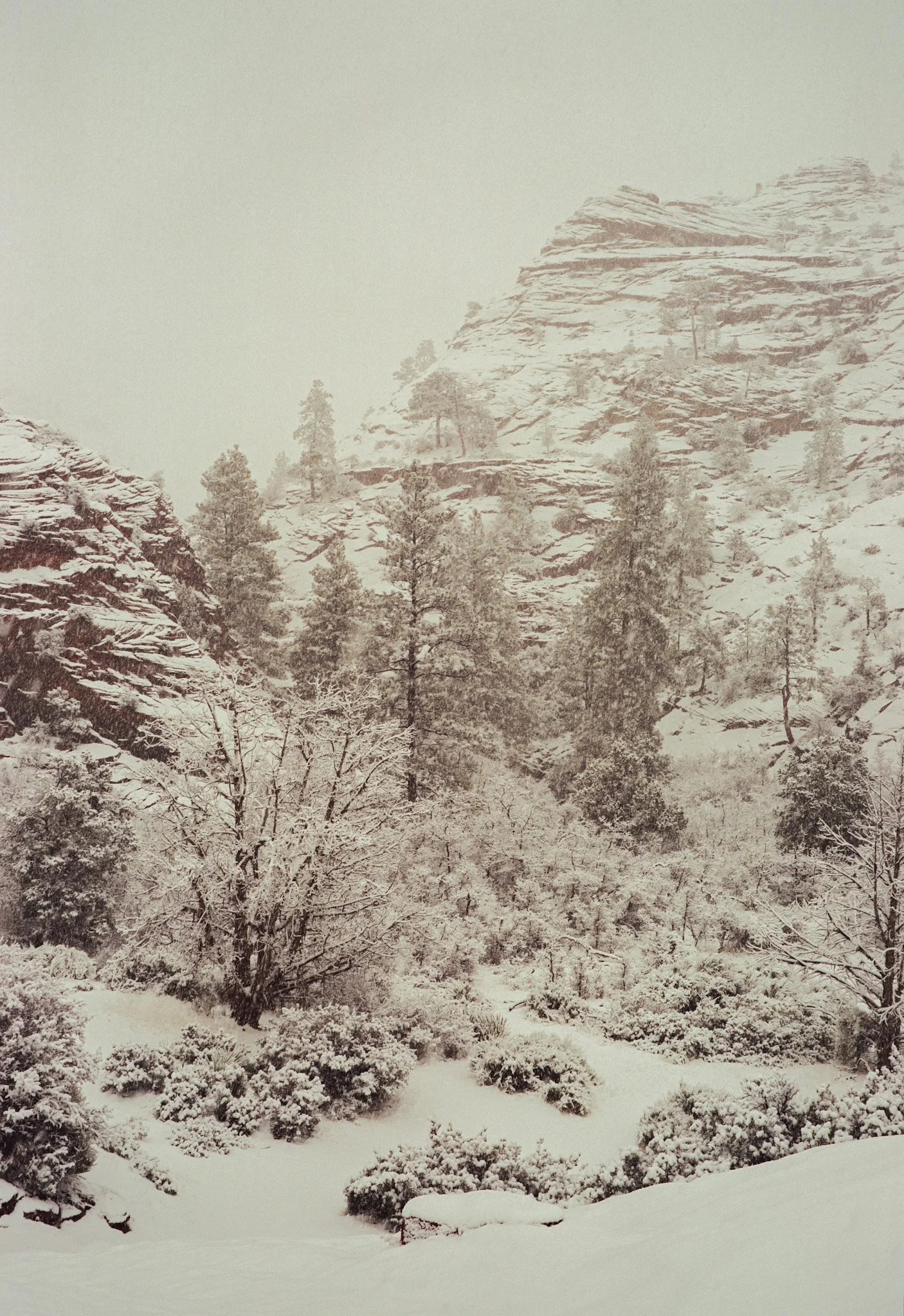 Snowy landscape with trees and rocky hills in the background.
